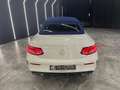 Mercedes-Benz C 220 Coupe d Sport auto Wit - thumbnail 20