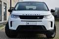 Land Rover Discovery Sport 2.0d i4 mhev S awd 150cv auto, UNICO PROP, PERMUTE Bianco - thumbnail 2