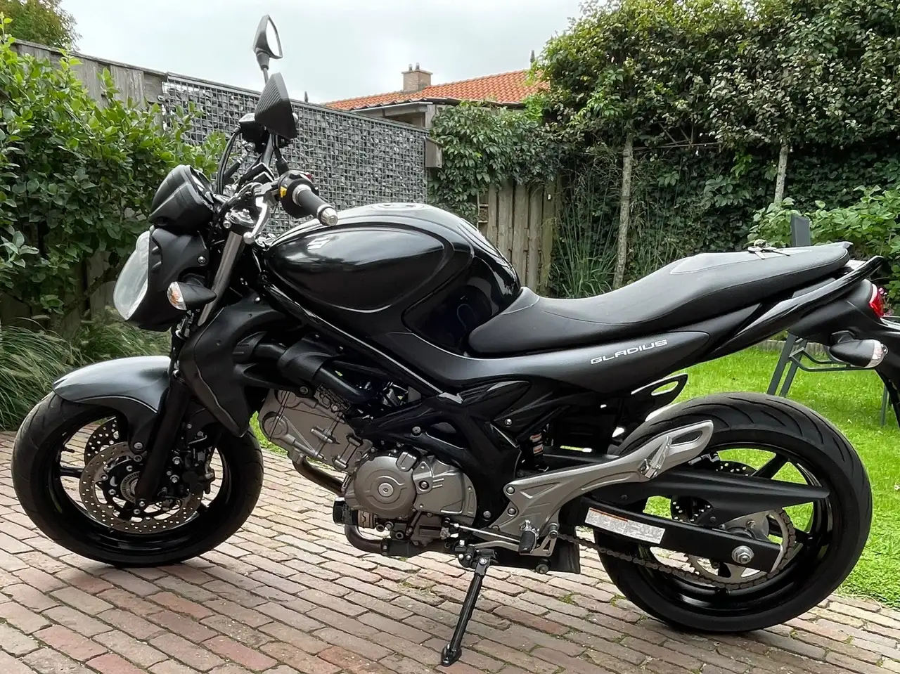 Suzuki Gladius 650