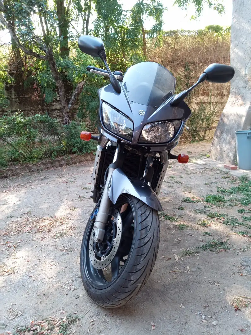 Yamaha FZS 1000 Gris - 2