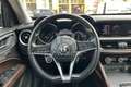 Alfa Romeo Stelvio Stelvio 2.2 Turbodiesel 180 CV AT8 RWD Super Negro - thumbnail 12