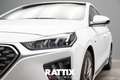 Hyundai IONIQ 1.6 Hybrid 105CV Comfort DCT White - thumbnail 3