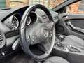 Mercedes-Benz SLK 300 Roadster Grigio - thumbnail 12