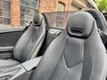 Mercedes-Benz SLK 300 Roadster Gris - thumbnail 18