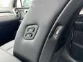 Kia Sorento 1.6T-GDI Hybrid AWD OPF AT Spirit Drive Weiß - thumbnail 13
