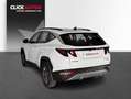 Hyundai TUCSON 1.6 TGDI 150CV 48V Maxx Blanc - thumbnail 7