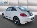 Volkswagen Beetle Design 1.2 TSI Blanc - thumbnail 7
