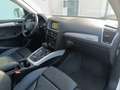 Audi Q5 2.0TDI CD quattro Advanced Ed. S-T 190 Blanc - thumbnail 17