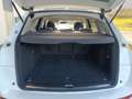 Audi Q5 2.0TDI CD quattro Advanced Ed. S-T 190 Blanc - thumbnail 12