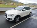 Audi Q5 2.0TDI CD quattro Advanced Ed. S-T 190 Blanc - thumbnail 1