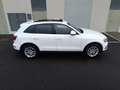 Audi Q5 2.0TDI CD quattro Advanced Ed. S-T 190 Blanc - thumbnail 6