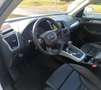 Audi Q5 2.0TDI CD quattro Advanced Ed. S-T 190 Blanc - thumbnail 16