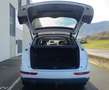 Audi Q5 2.0TDI CD quattro Advanced Ed. S-T 190 Blanc - thumbnail 10
