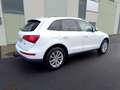 Audi Q5 2.0TDI CD quattro Advanced Ed. S-T 190 Blanc - thumbnail 7