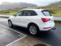 Audi Q5 2.0TDI CD quattro Advanced Ed. S-T 190 Blanc - thumbnail 15