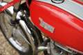 BSA lightning 650 PRICE REDUCTION very good and origin Red - thumbnail 11