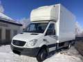 Mercedes-Benz Sprinter Sprinter 516 Oberaigner Allrad 4x4 Klima Untersetz Blanc - thumbnail 1