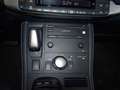 Lexus CT 200h 200 h Gris - thumbnail 21