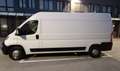 Fiat Ducato FIAT DUCATO L3H2 2.3 MJT PASSO MEDIO TETTO MEDIO Bianco - thumbnail 3