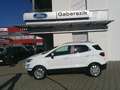 Ford EcoSport 1,0 EcoBoost Titanium Weiß - thumbnail 2