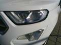 Ford EcoSport 1,0 EcoBoost Titanium Weiß - thumbnail 10