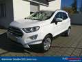 Ford EcoSport 1,0 EcoBoost Titanium Weiß - thumbnail 1