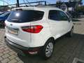 Ford EcoSport 1,0 EcoBoost Titanium Weiß - thumbnail 3