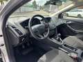Ford Focus Trend Gris - thumbnail 15