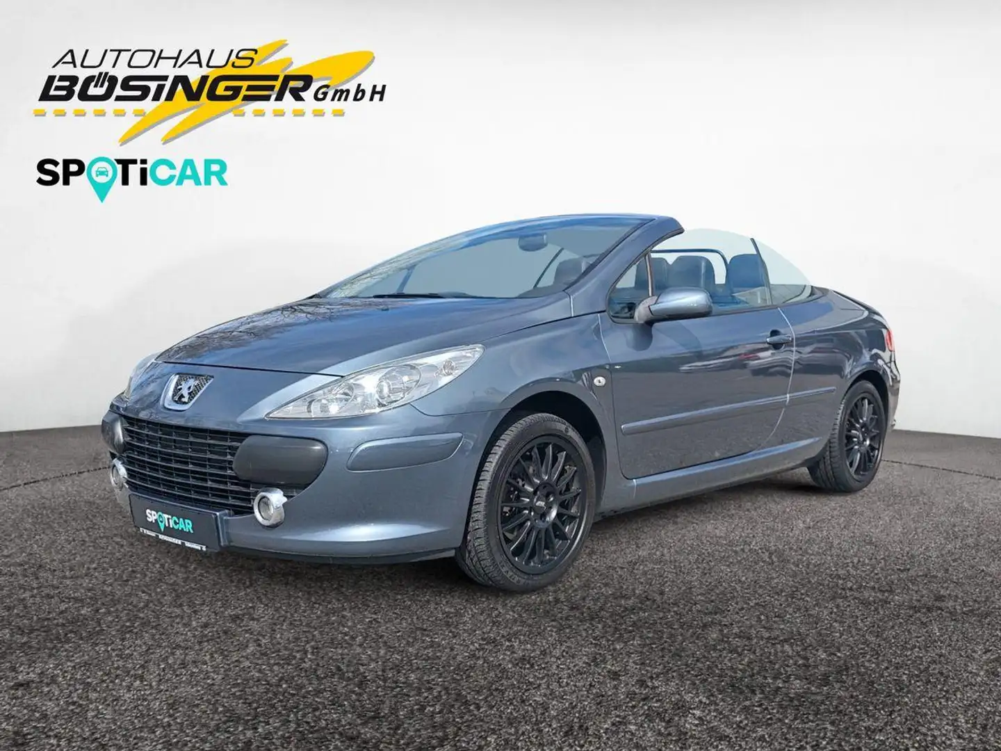 Peugeot 307 CC 2.0 JBL / 17"ATS-Alu / Windschott / 8-Fach Серый - 2