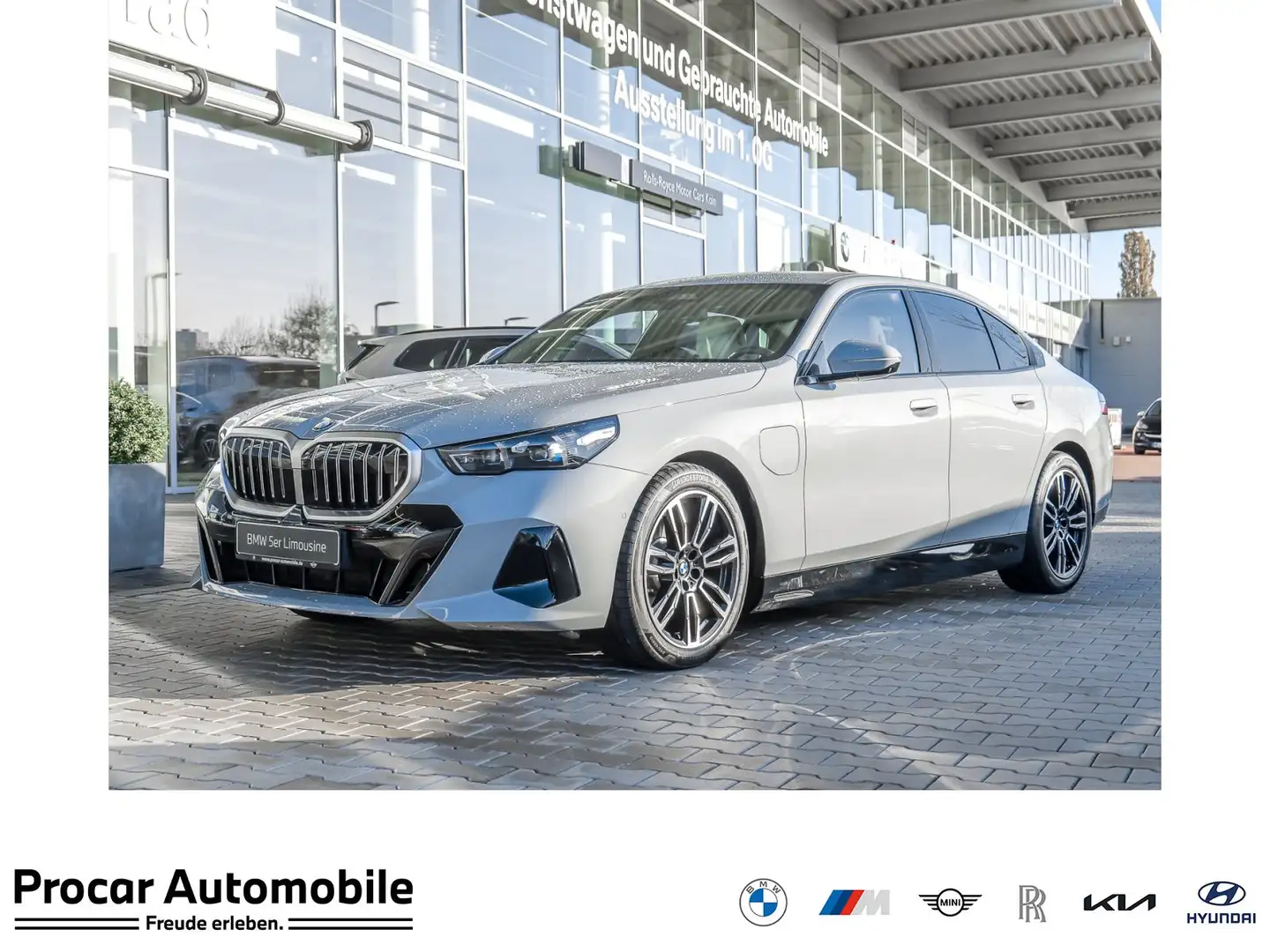 BMW 530 e MSport + H/K + PApl. + DAprof. + 19" Grau - 1