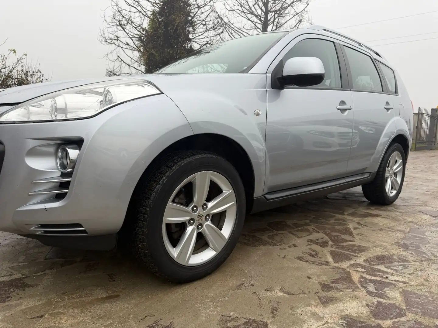 Peugeot 4007 2.2 HDi 156CV Tecno Silber - 1