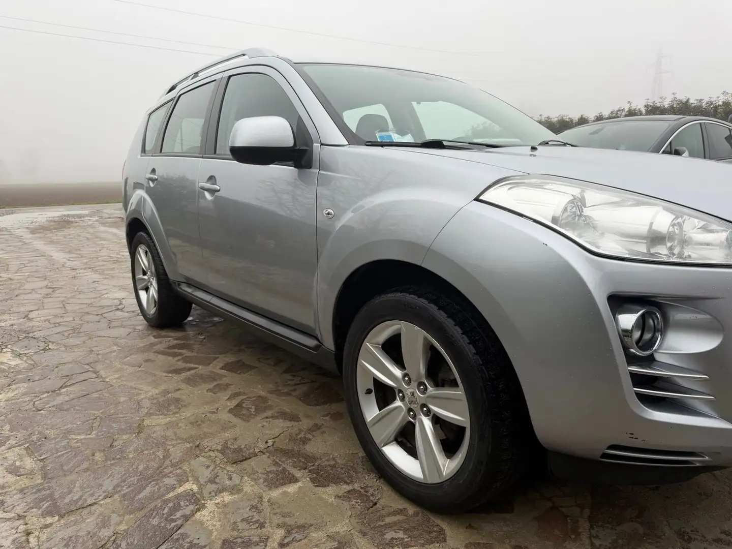 Peugeot 4007 2.2 HDi 156CV Tecno Silber - 2