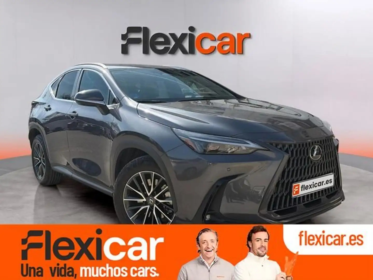 Lexus NX 450h+ Executive 4WD Gris - 1