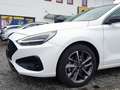 Hyundai i30 Kombi 1,5 TGDI 48V Go! Plus DCT Weiß - thumbnail 7