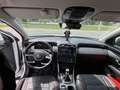 Hyundai TUCSON Tucson 1,6 CRDI 2WD Edition 30 Edition 30 Weiß - thumbnail 10