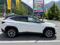 Hyundai TUCSON Tucson 1,6 CRDI 2WD Edition 30 Edition 30 Weiß - thumbnail 4