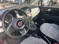 Fiat 500 1.2 BENZ STAR CAR PLAY CLIMA AUTOMATICO BLUETOOTH Blanc - thumbnail 8