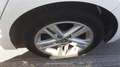Toyota Corolla 1.8 125H ACTIVE E-CVT - thumbnail 20