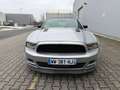 Ford Mustang 3,7 V6 Cabrio Automatik Xenon Argent - thumbnail 9