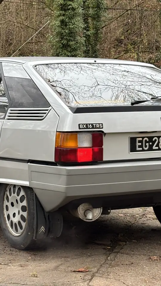 Citroen BX 1.6 TRS, foto 6