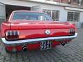 Ford Mustang Hardtop 65 Rosso - thumbnail 7