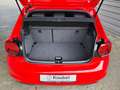 Volkswagen Polo Highline 1.0 TSI DSG LED*Nav*ACC*SHZ*PDC* Rot - thumbnail 13