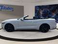 Ford Mustang Premium-Paket + Rückfahrkamera Weiß - thumbnail 8