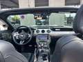 Ford Mustang Premium-Paket + Rückfahrkamera Weiß - thumbnail 22