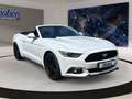 Ford Mustang Premium-Paket + Rückfahrkamera Weiß - thumbnail 3