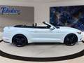 Ford Mustang Premium-Paket + Rückfahrkamera Weiß - thumbnail 4