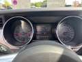 Ford Mustang Premium-Paket + Rückfahrkamera Weiß - thumbnail 24