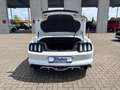 Ford Mustang Premium-Paket + Rückfahrkamera Weiß - thumbnail 21