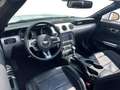 Ford Mustang Premium-Paket + Rückfahrkamera Weiß - thumbnail 10