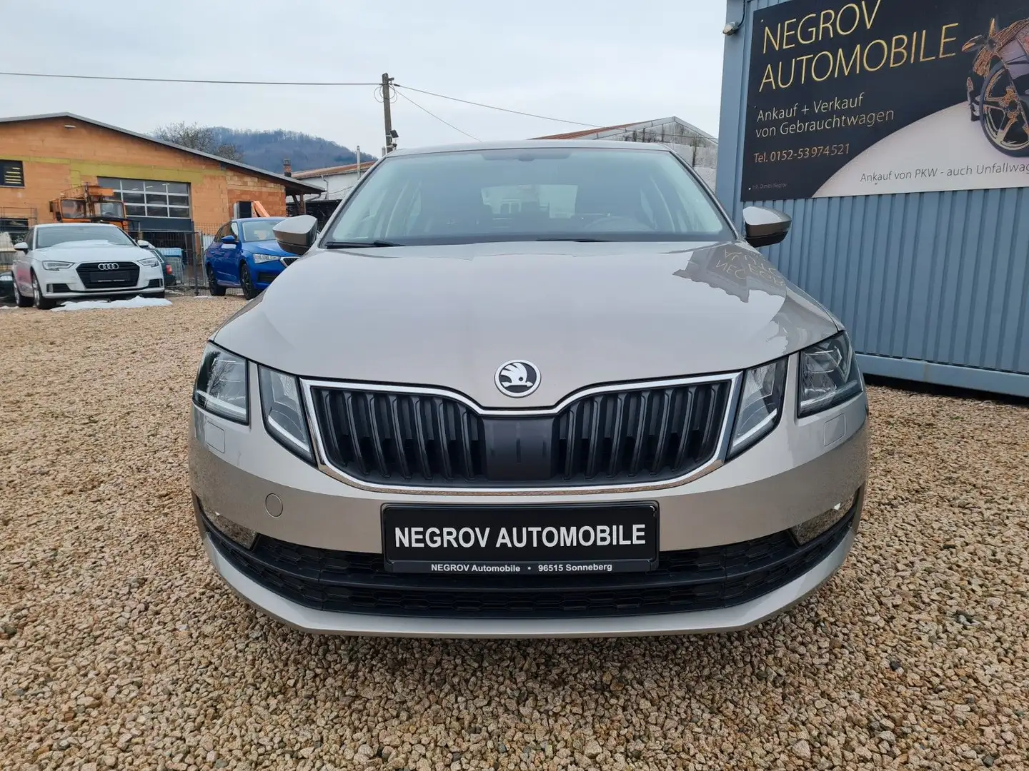 Skoda Octavia Lim. Drive Beige - 2